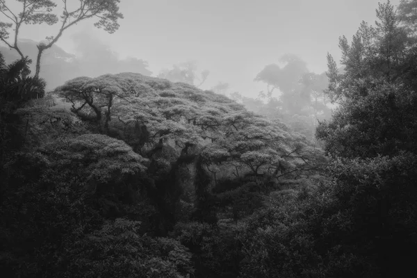 Volcan Arenal, Costa Rica, December 2024