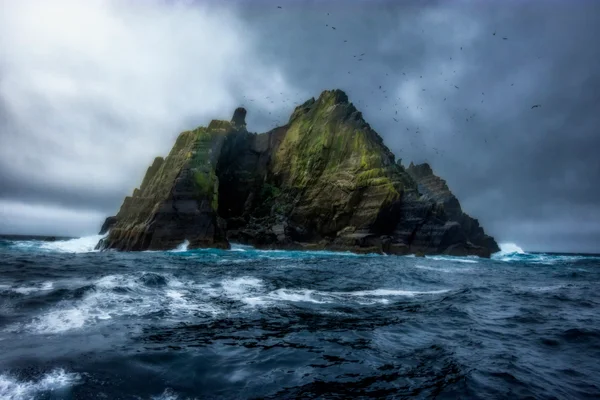 Skellig Islands, Ireland, August 2019