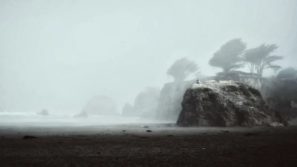 Pacific Coast, June 2024