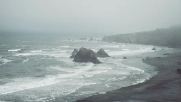 Pacific Coast, June 2024